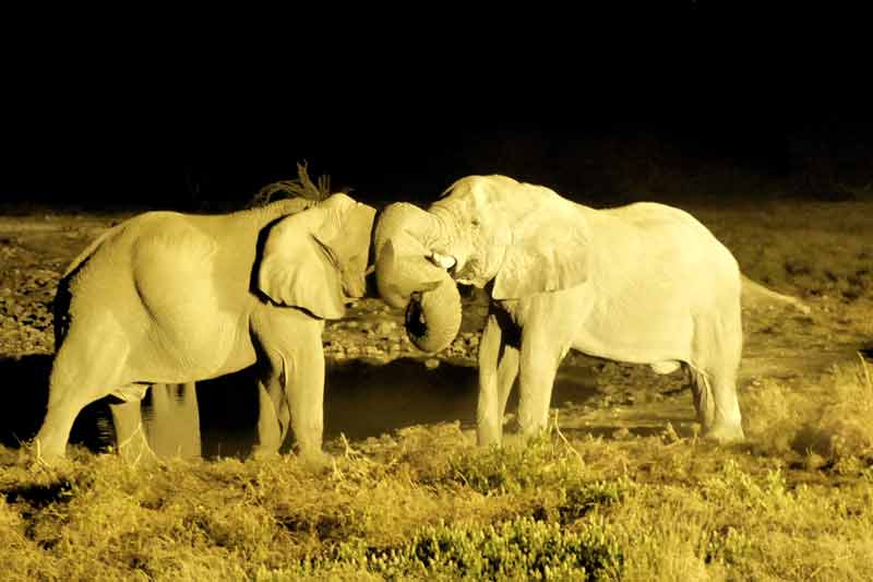 Namibia